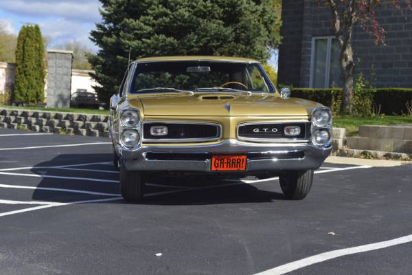 66_tiger_gold_GTO_front_view