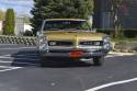 66_tiger_gold_GTO_front_view.jpg